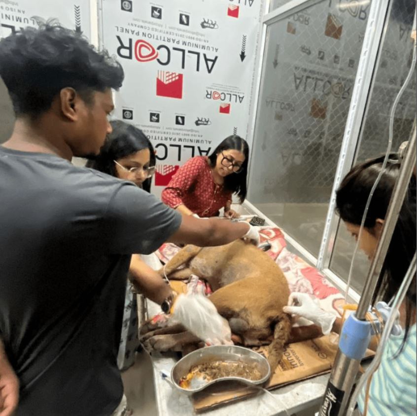 Give Hope, Save Lives – Be Their Lifeline Today